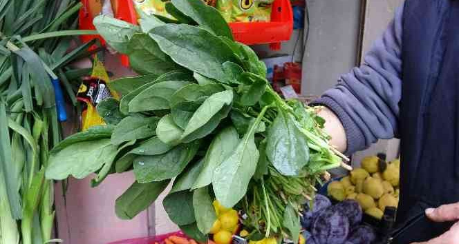 Giresun Sağlık İl Müdürü Muhammet Bulut: "Zehirli olan ıspanak değil, güzelavrat otu"