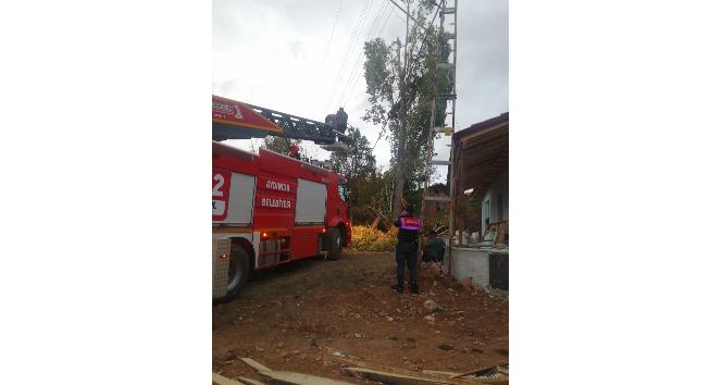 Yozgat’ta ağaç budarken elektrik akımına kapıldı, kurtarılamadı