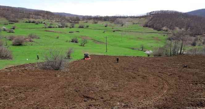 Ordu’da üreticilere 54,5 ton tohum dağıtıldı