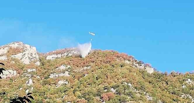 Osmaniye’de orman yangını büyümeden söndürüldü