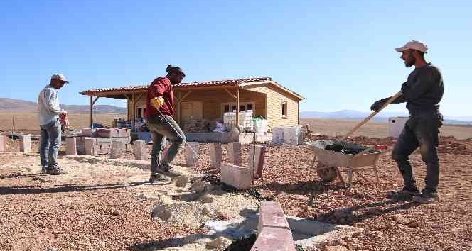 Atıl tarla hobi bahçesi olacak