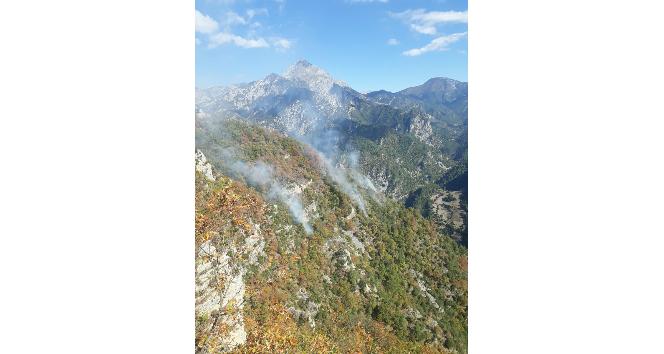 Osmaniye’de orman yangını
