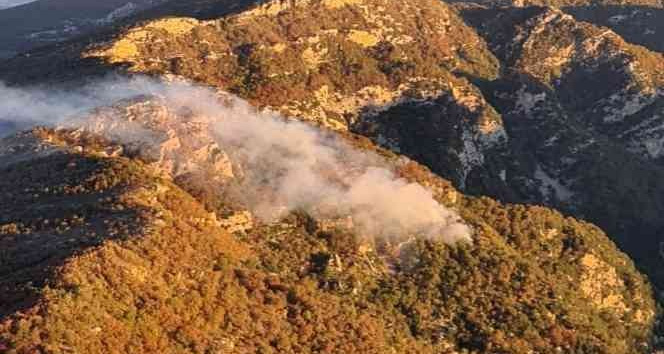 Osmaniye’deki orman yangınını söndürme çalışmaları sürüyor