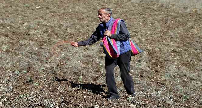 Kuşlar aç kalmasın diye 11 yıldır boş tarlaları ekiyorlar