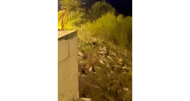 Aç kalan tilki şehre indi