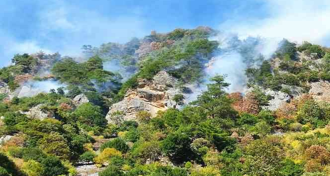 Ekipler, Osmaniye’deki yangın bölgesine karadan hortum döşüyor