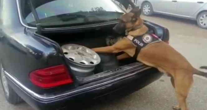 Osmaniye’de narkotik operasyonları