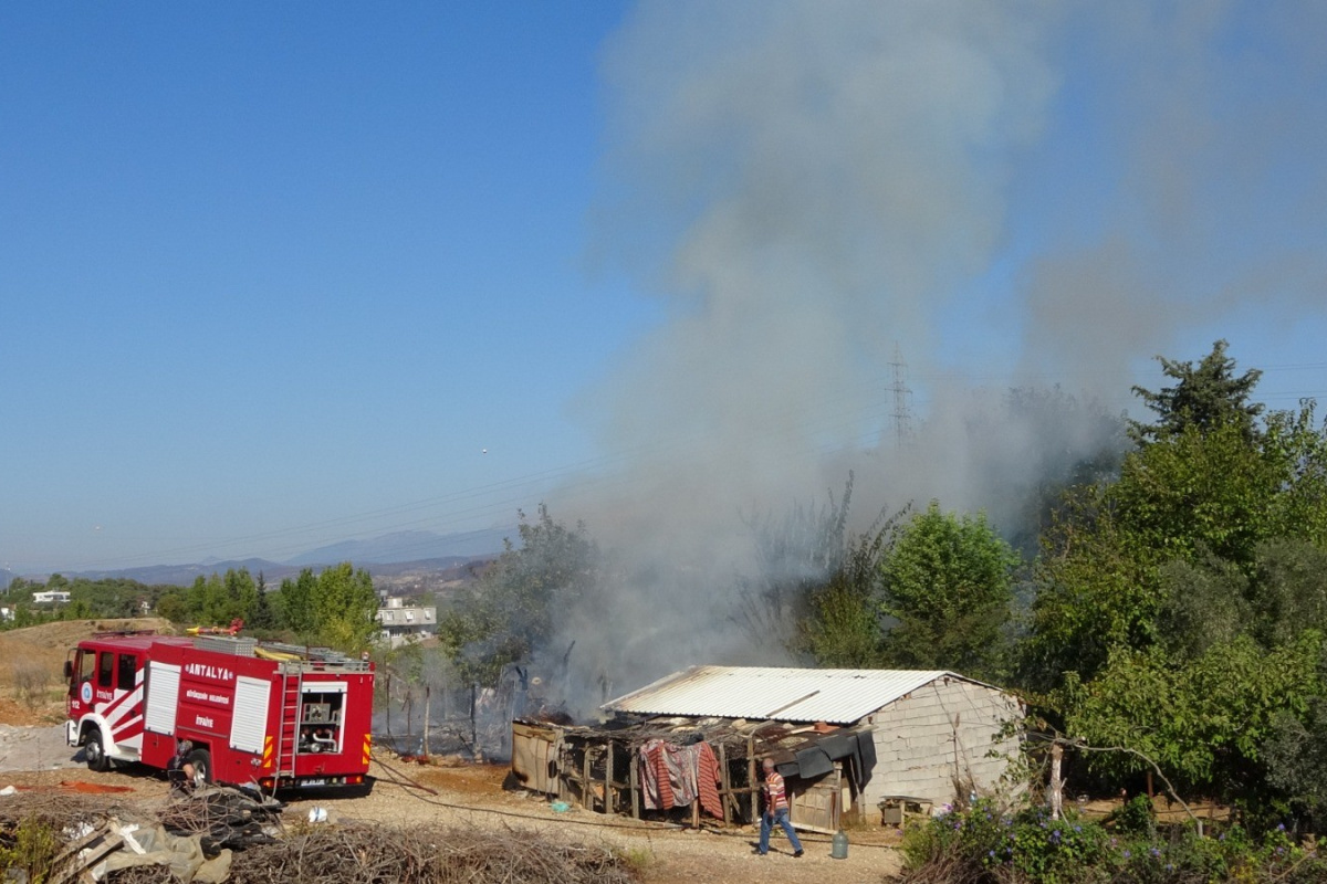 Antalya&#039;da saman dolu ağılda yangın: 15 koyun telef oldu