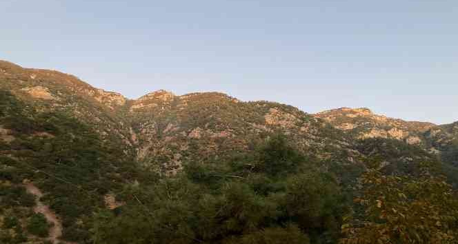 Osmaniye’deki orman yangını söndürüldü