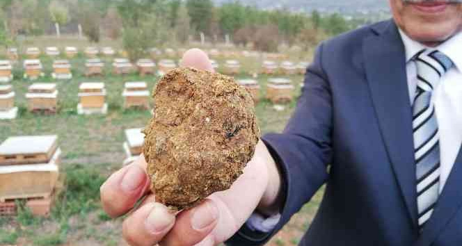 Korona	virüs sonrası talep arttı, litresi 2 bin lira