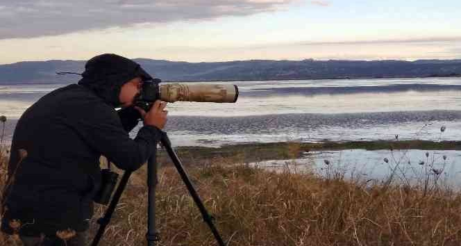 Hersek Lagününde "dikkuyruk" sürprizi