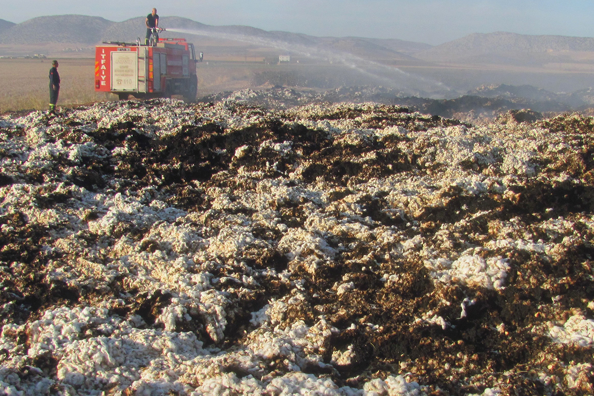 Araban Ovası'nda hasadı yapılmış 90 ton pamuk yandı