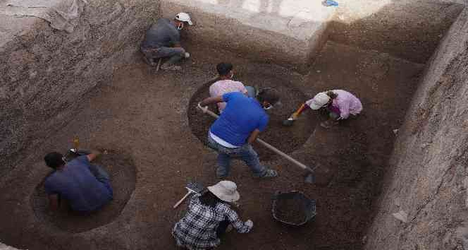4 bin yıllık zeytine kadın eli değdi