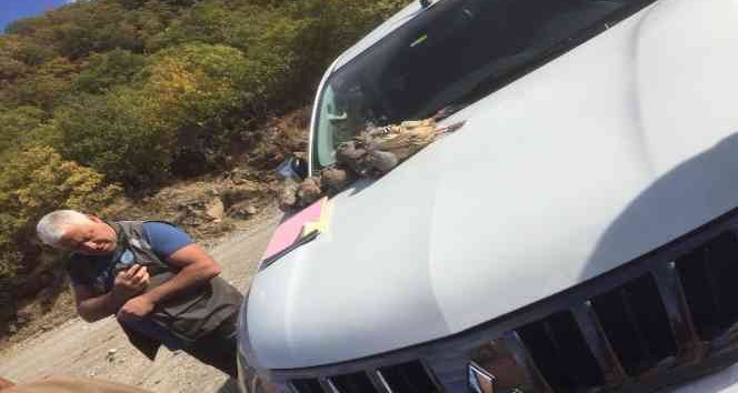 Tunceli’de kaçak avlanan 9 kişiye ceza kesildi, 14 ölü keklik ele geçirildi