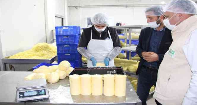 Iğdır’da ’Gıda denetim seferberliği’