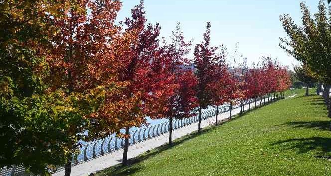 Kırşehir’de rengarenk sonbahar