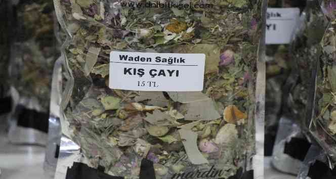 Havaların soğuması ile kış çaylarına ilgi arttı