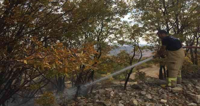 Tunceli’de örtü yangını büyümeden söndürüldü