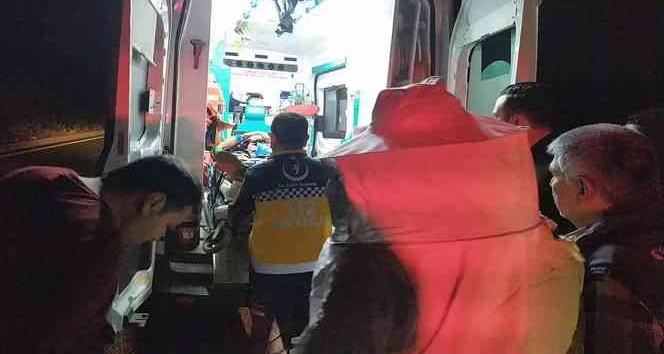 Arı kovanı taşıyan kamyonet devrildi: 2 yaralı