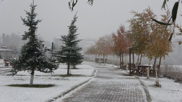 29 Ekim'de Ardahan'da kar sürprizi.