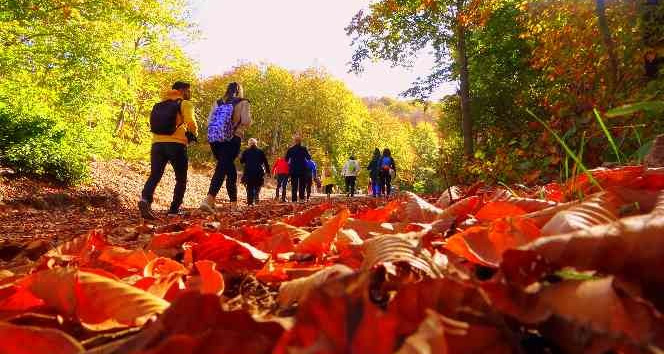 Renk cümbüşüne bürünen Dumanlı Yaylası, doğaseverlerin vazgeçilmezi oldu