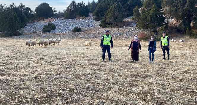 Karaman’da kayıp koyunları jandarma drone ile buldu