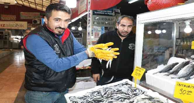 Kahramanmaraş’ta tezgahlarda balık bolluğu