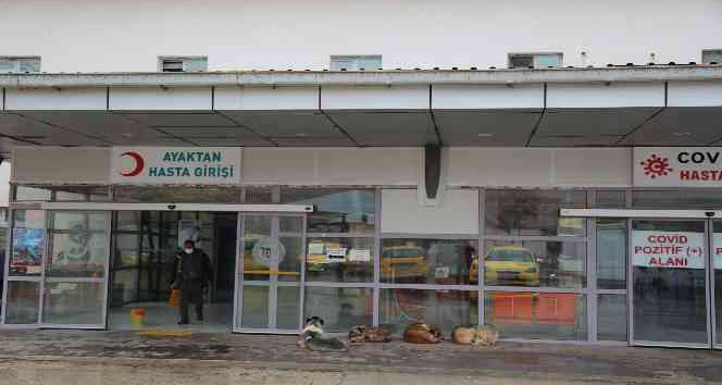 Kaymakamın koruma aracı kaza yaptı: 4 yaralı