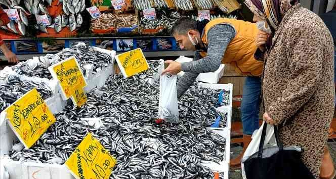 Hamsinin kilosu 10 TL’ye düştü, vatandaşlar kilolarca aldı
