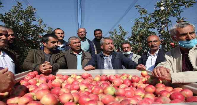 Ahlatlı çiftçiler kapama elma bahçelerini gezdi