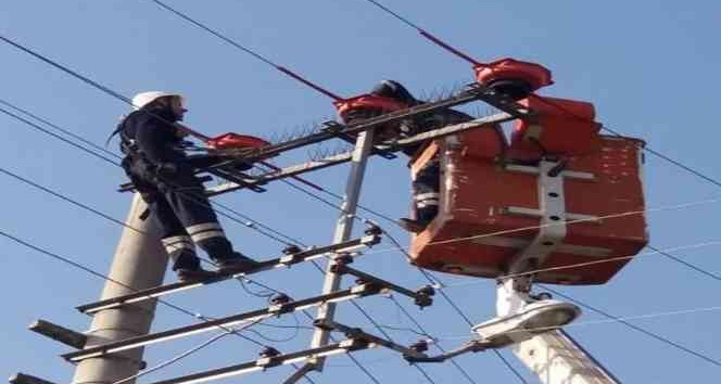 Göçmen kuşlar artık güvende