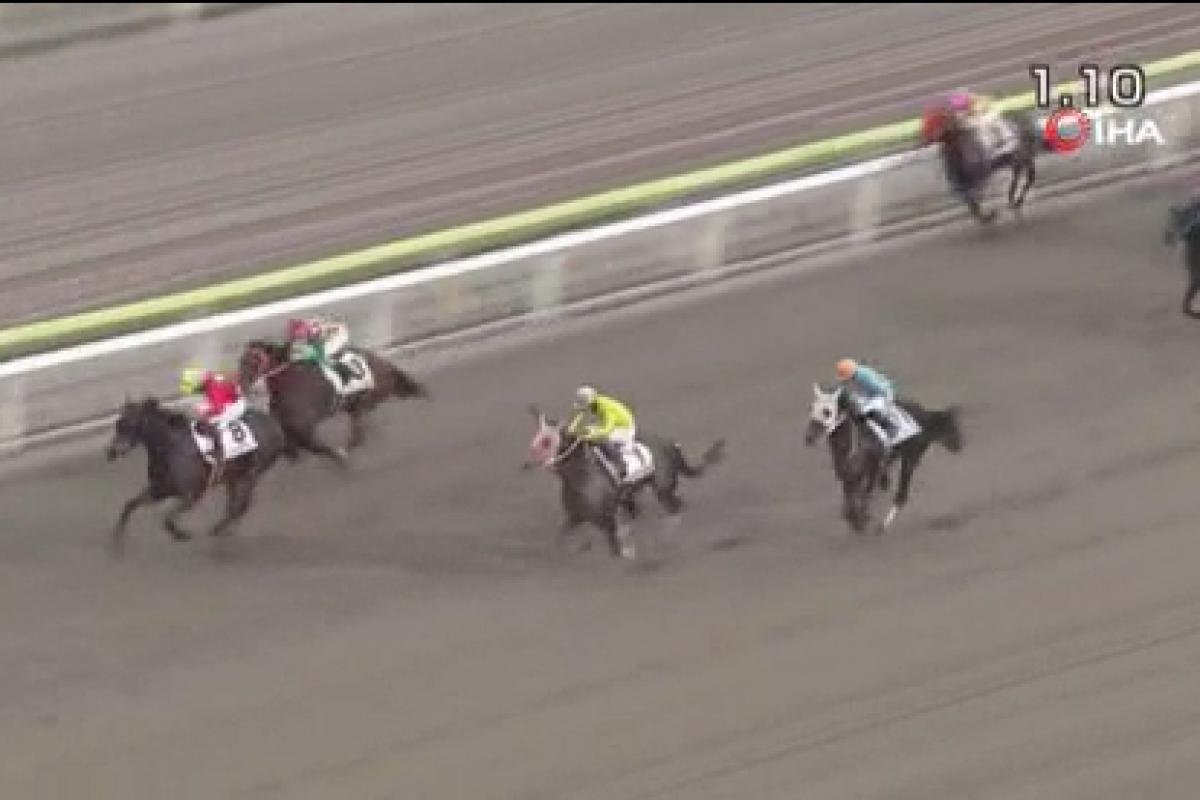 Japonya’daki yarış atı, ismiyle spikere zor anlar yaşattı
