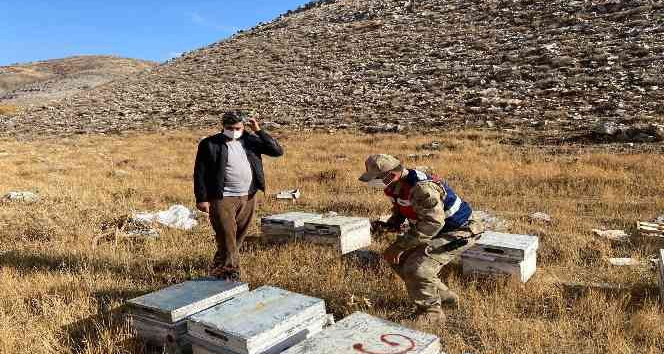 Bitlis’te küçükbaş hayvan ve arı kovanı çalan şahıslar yakalandı