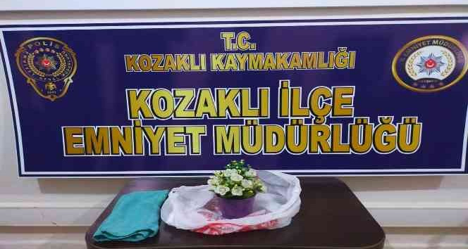 Saksıda uyuşturucu