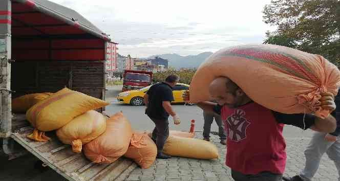 Fiyat farkı üreticiyi TMO’ya yöneltiyor