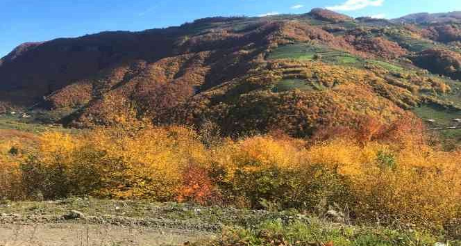 Ordu yaylalarında sonbahar güzelliği