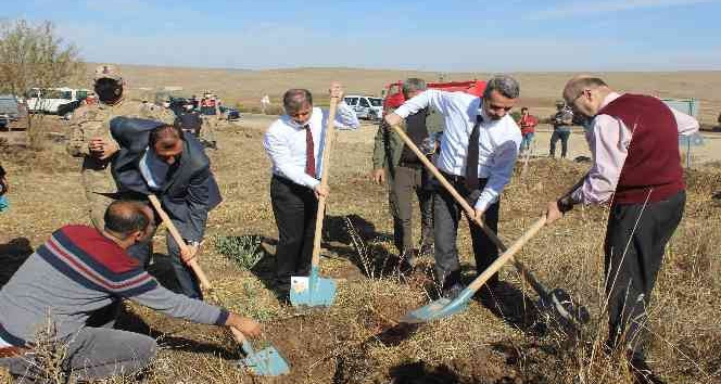 Kilis Adalet Orman’ına 500 zeytin fidanı dikildi