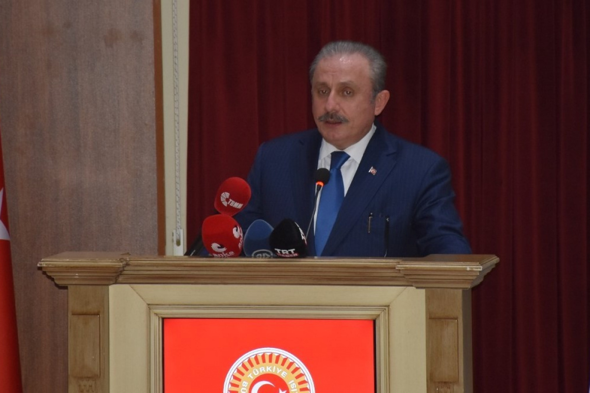 TBMM Başkanı Şentop: “Türkiye'den rahatsız olanlar var”
