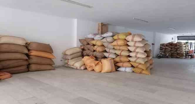 Fındık fiyatı 3 haftadır yerinde sayıyor