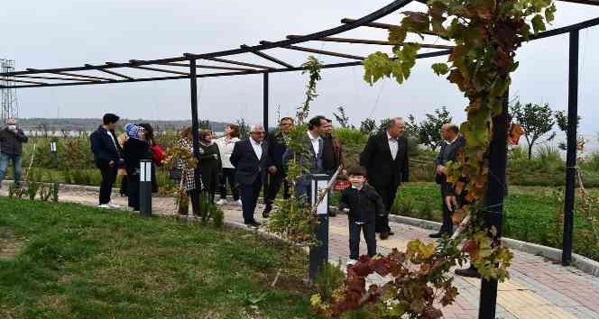 Tıbbi aromatiğe özel konuklar