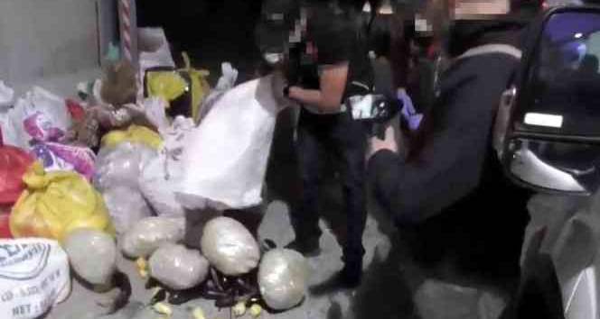 Patlıcanla kamufle edilen uyuşturucuyu ’Pars’ buldu