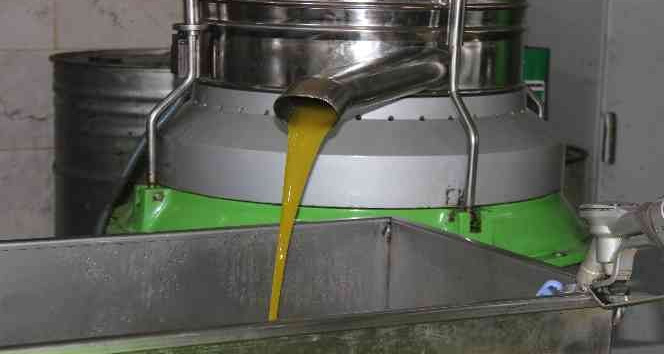 Kilis’te zeytinyağının kilosu 33 TL’den satılıyor