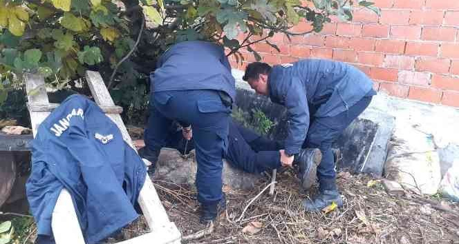 Kuyuya düşen köpeği jandarma kurtardı