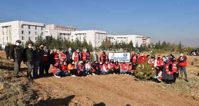 KMÜ’de Yunus Emre Hoşgörü Ormanı