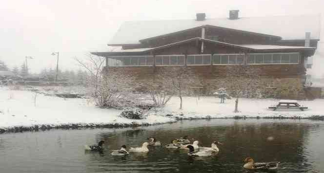 Giresun yaylaları beyaza büründü