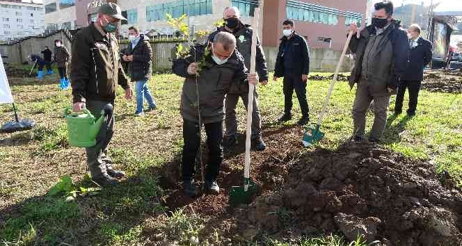 Ordu’da 116 bin fidan toprakla buluştu