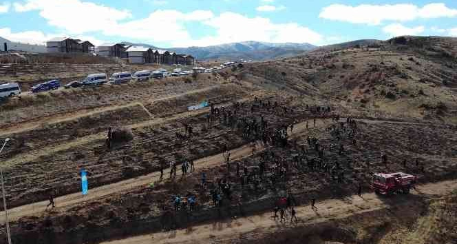 1744 rakımlı Dinek dağında fidanlar toprakla buluşturuldu