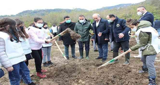 Fatsa’da dikilen fidan sayısı 5 bin 500’e ulaştı