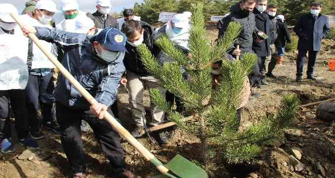 Yozgat’ta fidan dikimi gerçekleştirildi