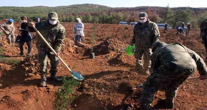 Yanan Demirciler orman alanında fidanlar toprakla buluştu